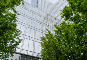 Green trees growing in front of a building downtown