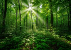 Senior Living Empower Hour April 2024