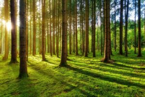 Senior Living Empower Hour June 2025